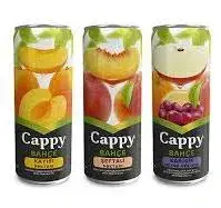 CAPPY MEYVE SUYU